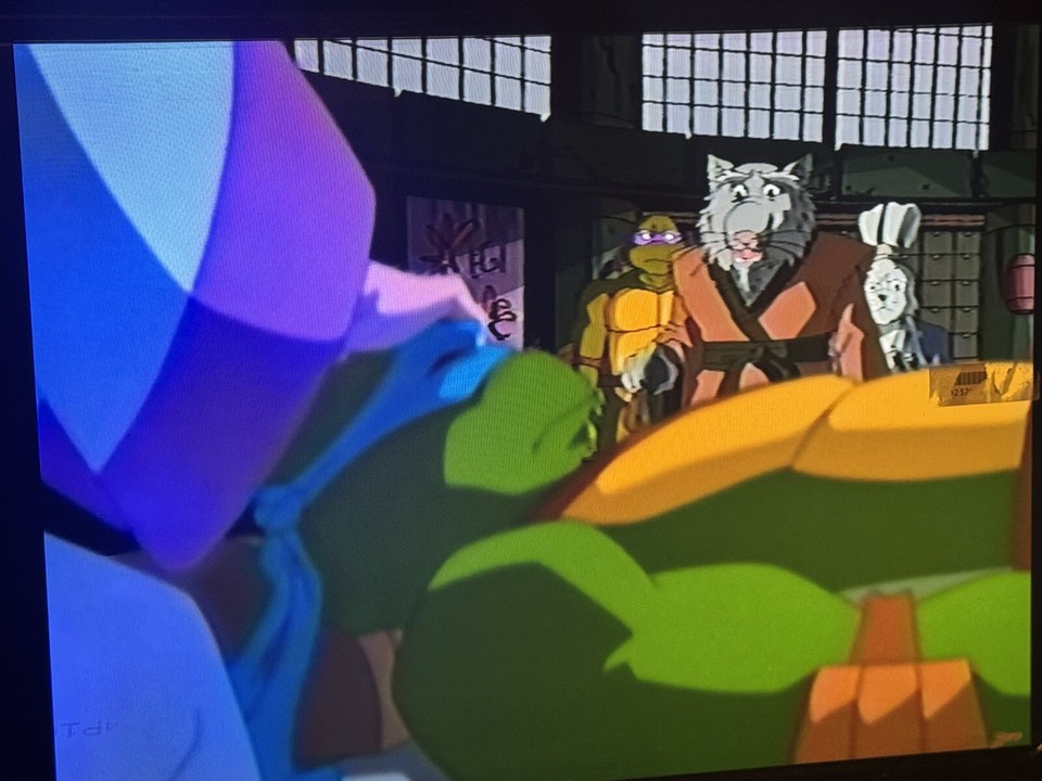 Teenage Mutant Ninja Turtles Vol. 13 Battle Nexus VHS, 2004) Tested