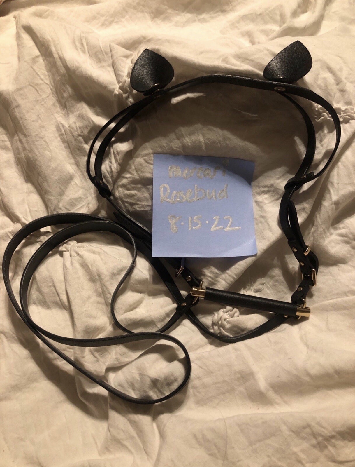 Honey Birdette Austin Jaguar Swim Set Gem