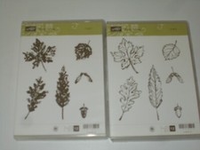 Stampin'Up GENTLY FALLING 2-step stampin clear mount set - Leaves / Fall
