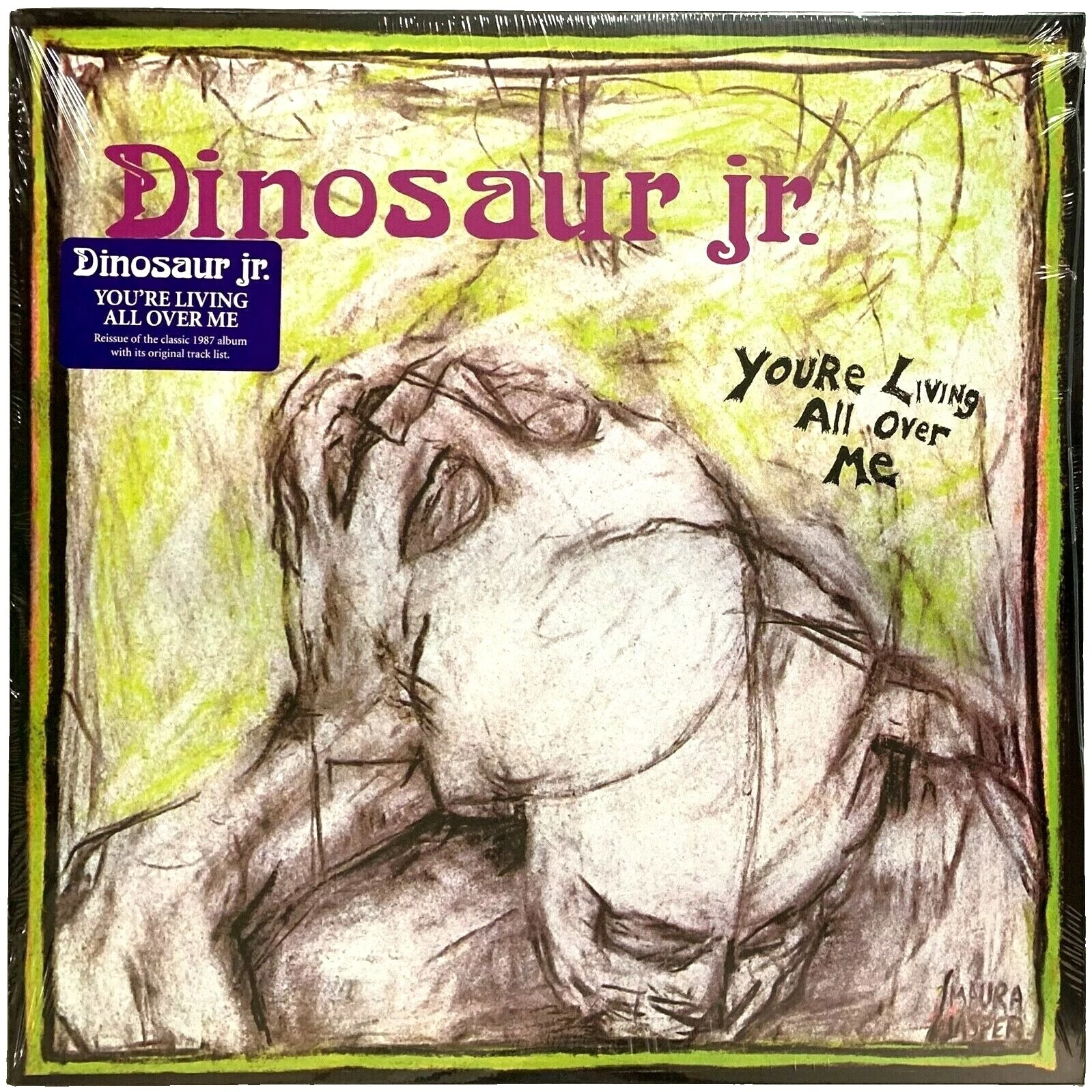 Dinosaur JR. discos de vinilo de velocidad de 33 RPM