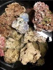 30 Lbs Med/Large Dry  Reef Rock,, Porous, Aquariums Live