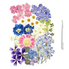 A4 Large Dried Pressed Flowers for Resin Blue Pink Mix for Candle Soap Making