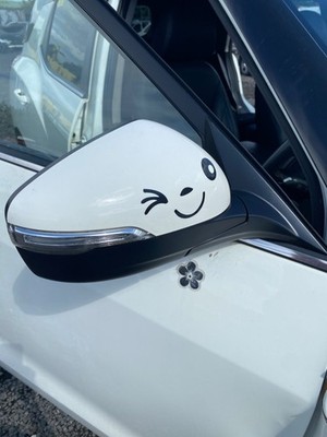 Door Mirror Right 2018 SsangYong Tivoli White