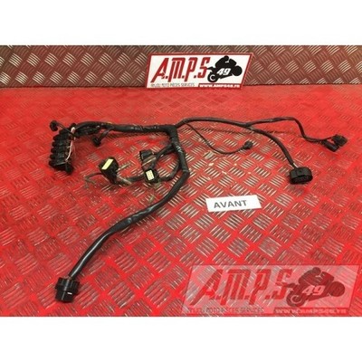 Ducati Multistrada DS 1000 2003-2006 Scheinwerfer vorne