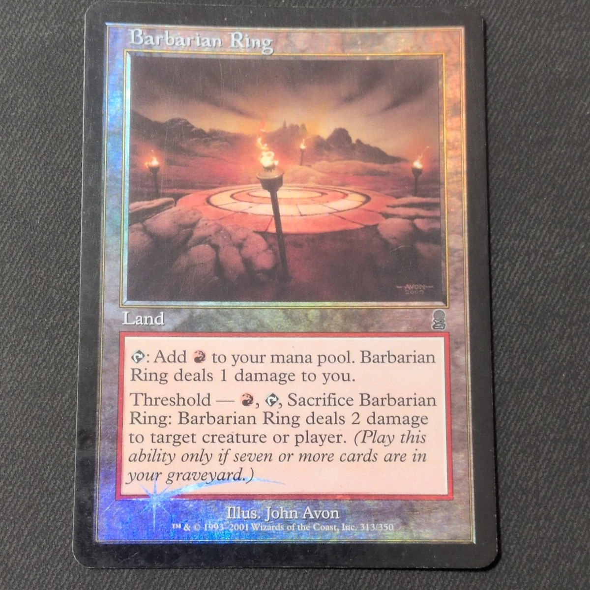 Land Foil Magic: The Gathering Trading Card Games Individual