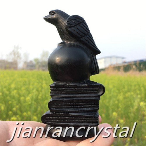 2.7" Natural Obsidian Bird Crystal Skull Carving Raven Quartz Skull Healing 1pc - Picture 7 of 15