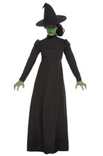 Wicked Witch of the West Adult Costume