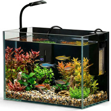 2.5 Gallon Small Fish Tank, Nano Aquarium with Heater, Ultra-Clear Glass, LED Li