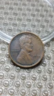 1909 Lincoln Wheat Cent Penny VF+                                           Y989