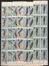 10x Marine Life / Dolphins / Whales / Fauna -Wholesale!  Z15