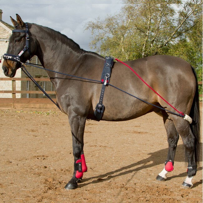 Pessoa Lunging System For Horses Aazon.co: And Lunging Aid, Adjustable ...