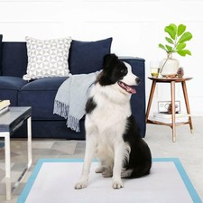 Pet Training Pads 400/200 Puppy Dog Toilet Pee Indoor Super Absorbent 60x60cm — image 12