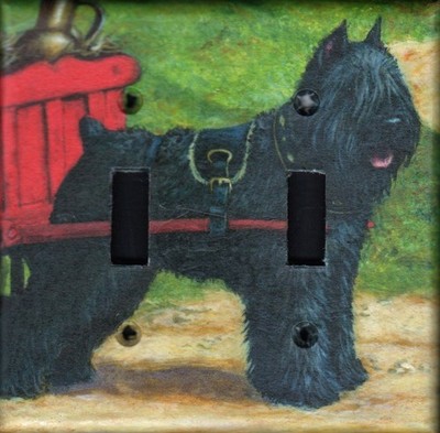 Bouvier Double Toggle light switch plate, made in USA