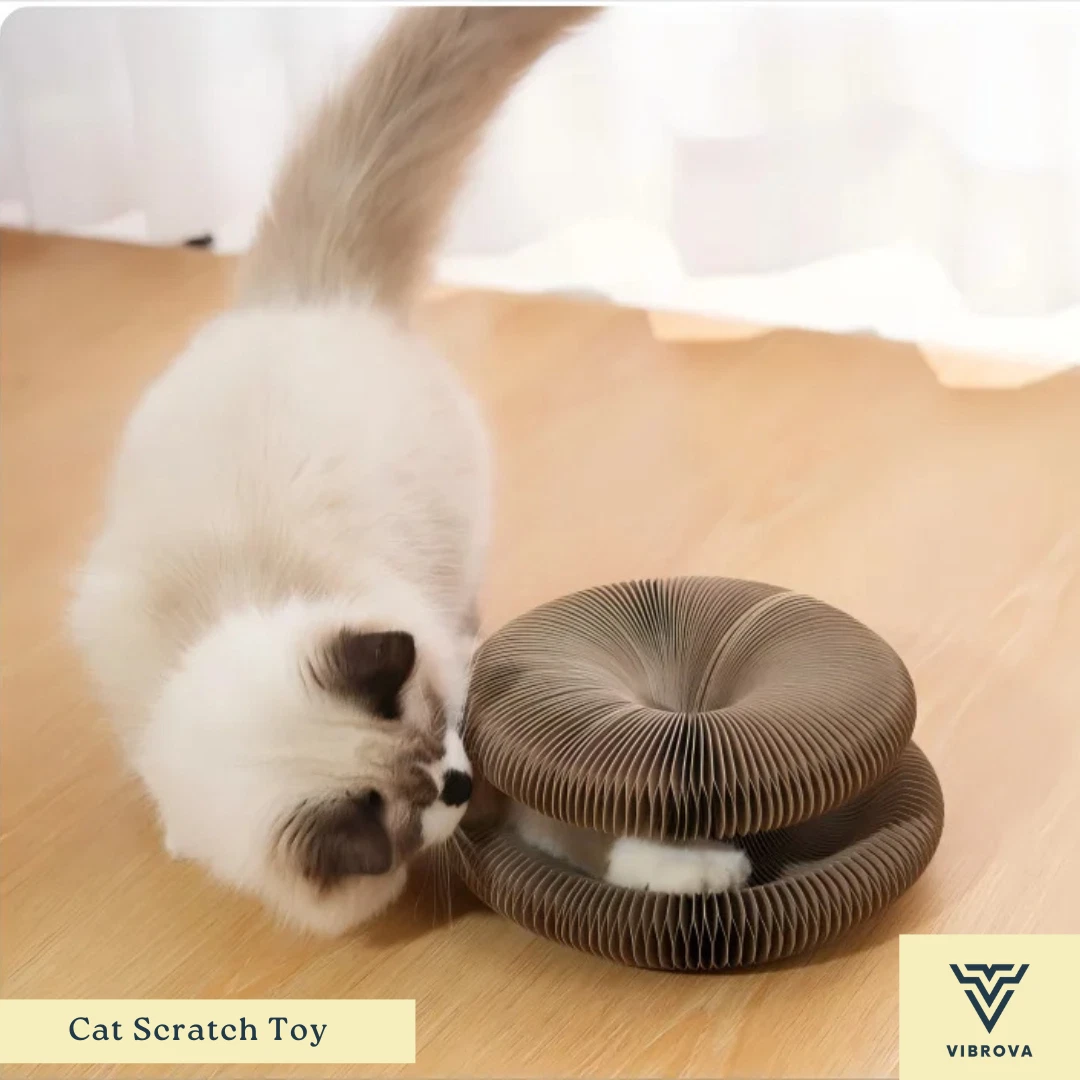 Cat Scratch Toy | Interactive Cat Toy | Magic Cat Scratch Pad
Opens in a new window or tab