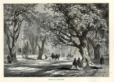 Oaks of Oakland California Historic Western America, 1872 Antique Wood Engraving