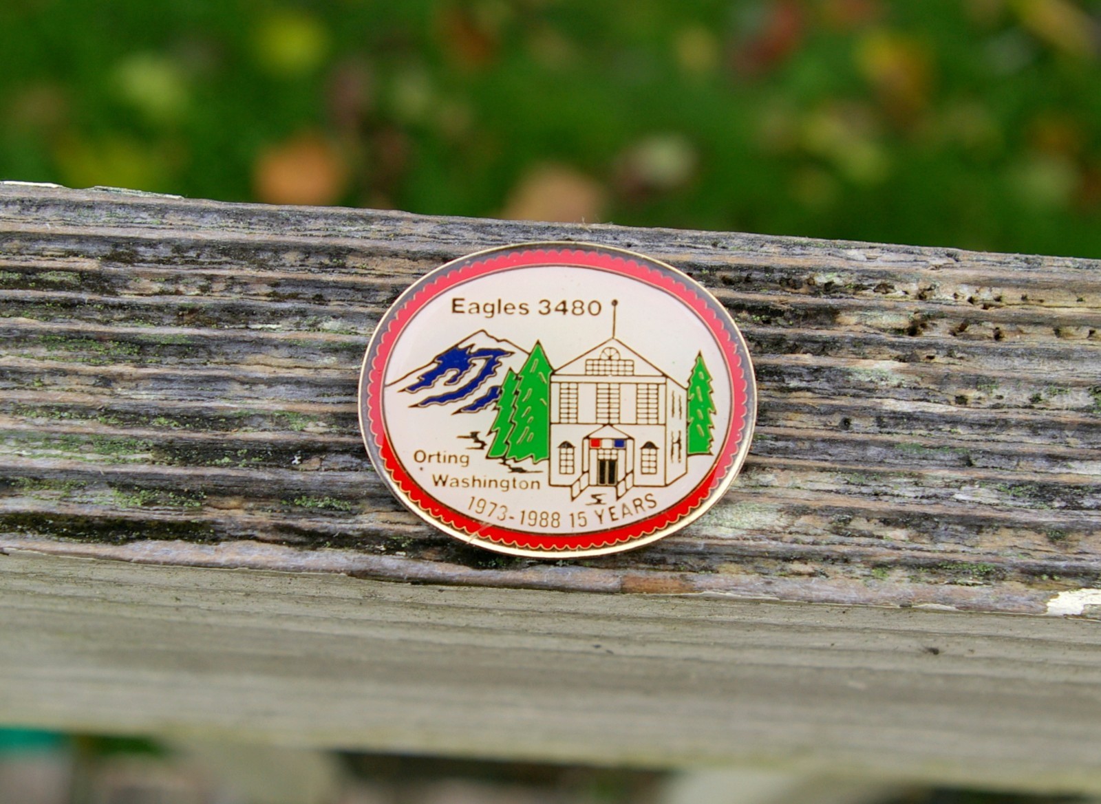 Eagles 3480 Orting Washington WA 15 Years 19731988 Gold Tone Metal Pin