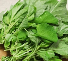 Non-GMO Asian Vegetable Amaranth Round White Seeds（圆叶白苋菜）500+seeds