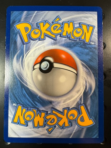 Mudkip - 19/25 019/025 Holo Promo McDonald's 25th Anniversary Promos LP - Picture 2 of 2