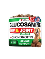 Vet Promise Glucosamine Chondroitin Hip and Joint Supplement for Dogs 170 Chews