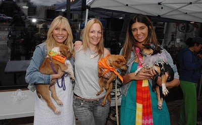 Lisa Gastineau Ashley Paige Brittny Gastineau North Shore Animal Leagu- Photo