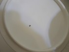 2 Wedgwood Bone China Angela covered bowl small vase floral pastels box — photo 6