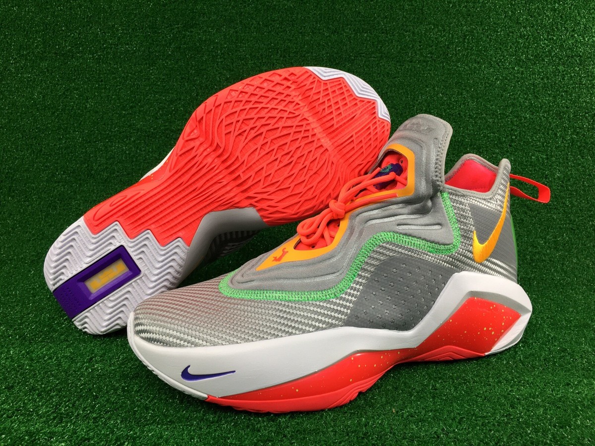 Nike Lebron Soldier XIV Basketball Shoes Multicolor CK6024-001