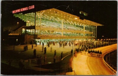 1959 MIAMI Florida Postcard BISCAYNE KENNEL CLUB Greyhound Dog Race Track Night