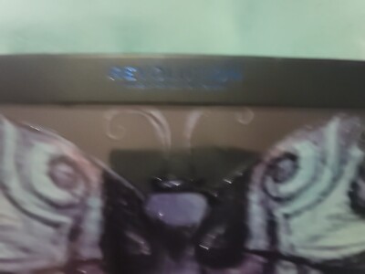 NEW Makeup Revolution X Corpse Bride by Tim Burton Butterfly Eyeshadow Palette