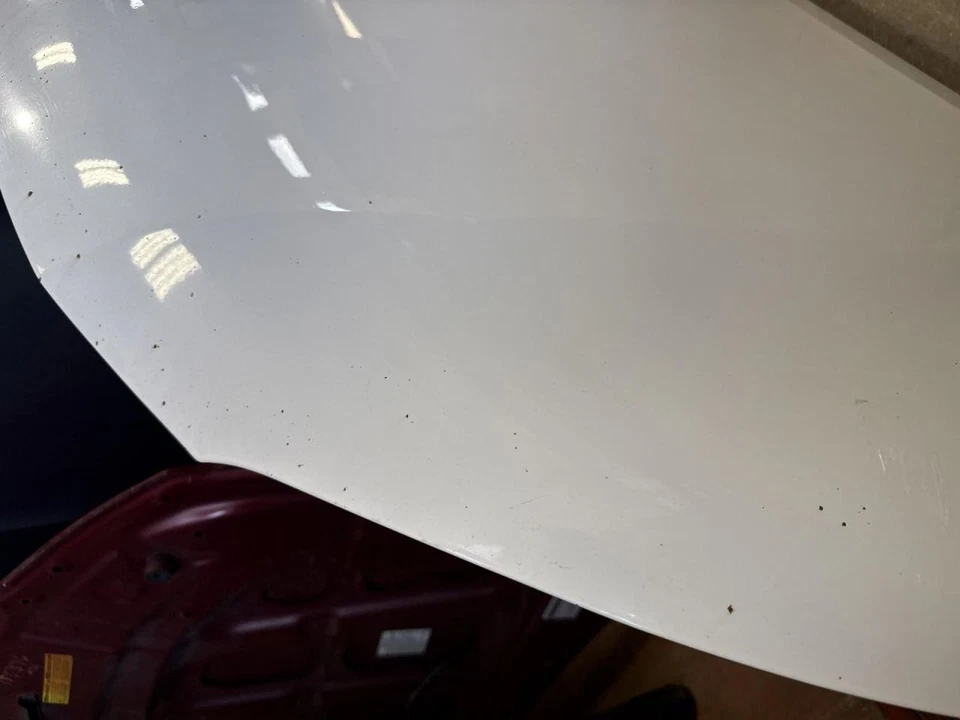 (SOLO RECOGIDA LOCAL) Capó se adapta a 13-21 NV200 2052572 Foto 4 de 4