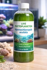 Live Nannochloropsis oculata Marine Reef & Po...