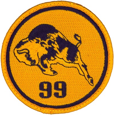 USAF 99th RECONNAISSANCE SQUADRON PATCH - HERITAGE | eBay