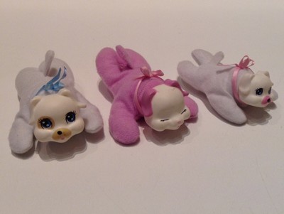 puppy surprise replacement puppies