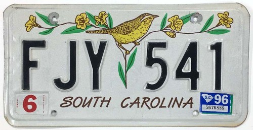 Vintage South Carolina 1996 Wren Bird License Plate FJY 541 in Nice Condition
