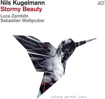 Nils Kugelmann Stormy Beauty Album