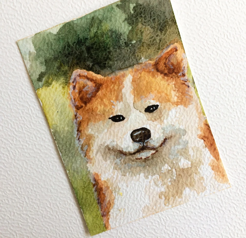 aceo original painting dogs Watercolor. Portrait of a Red Akita Inu Pet portrait - Image 4 of 4