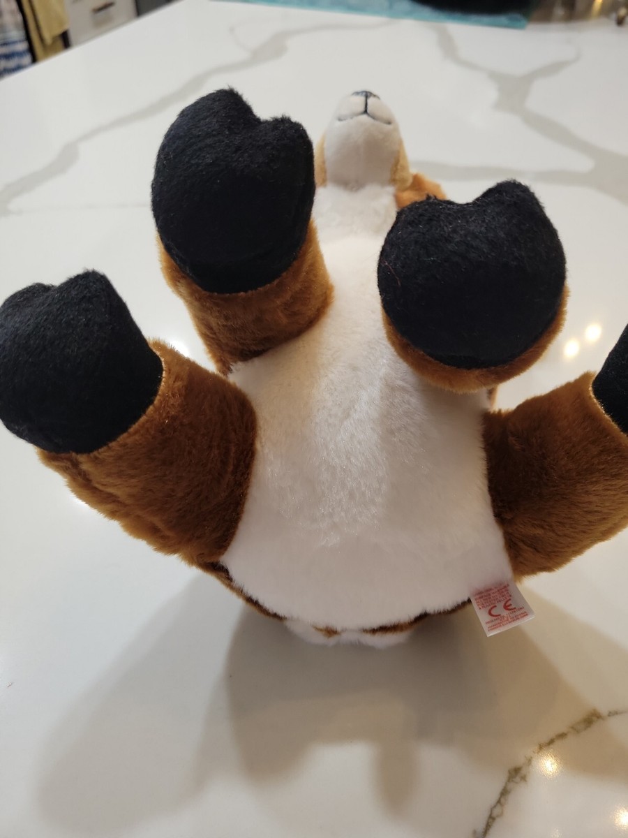 Boo Brown - For My Peoples (激レア自主) Beanie Boo Alpine - Solid Brown Eyes Version Exist! - YouTube