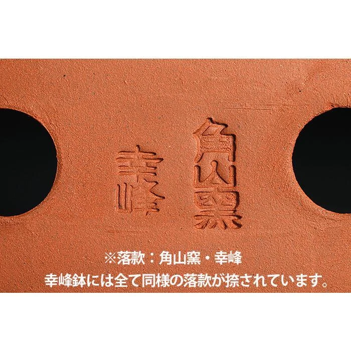 Bonsai Pot Kakuzan Tohen Dragon Rectangular Tokoname 12cm Kouji Watanabe Japan - Image 3 of 4