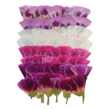 48 Pcs Dried Pressed Flowers for Crafts Art Resin DIY Natural Dry Floral Epox...