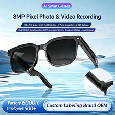 800W AI Smart Glasses Anti-Shake Camera Photo Video Translation Photochromic 2GB