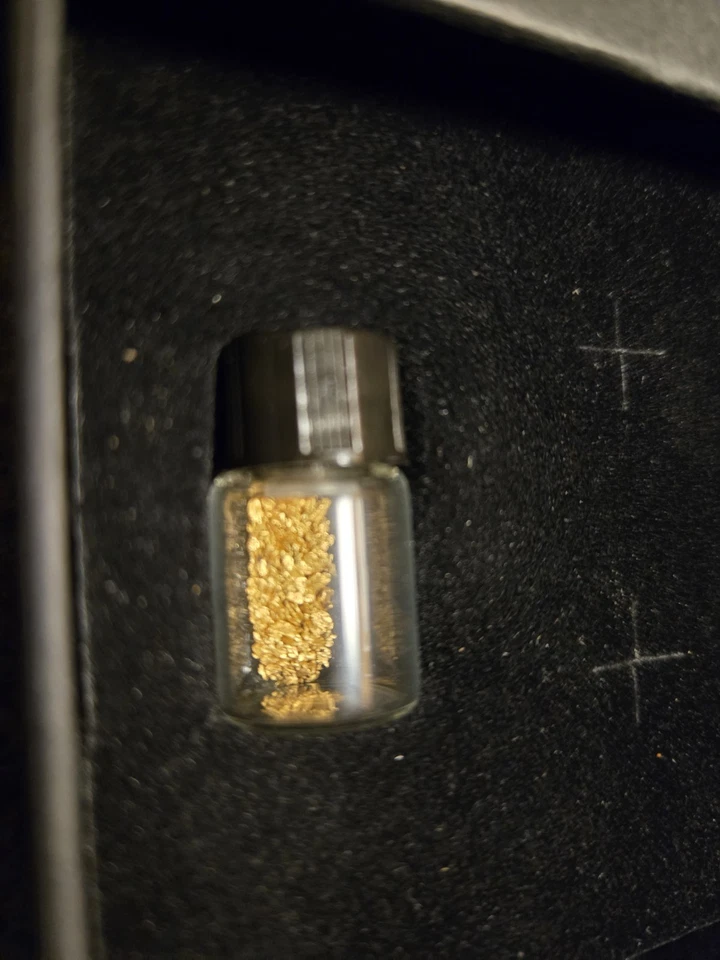 Pepitas de oro Alaskan Placer escamas finas natural crudo BERING mar Foto 3 de 4