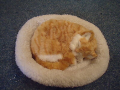 Pet Nap Plush Sleeping Tabby Kitten In Her Lamb s Wool Bed In Box
