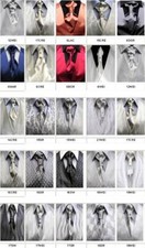 Plastron ( Krawatte ) mit Einstecktuch