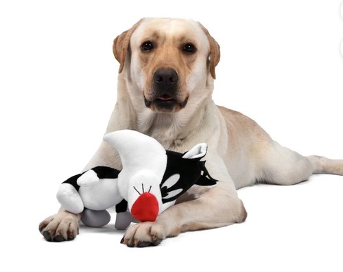 Warner Brothers Sylvester Large Big Head Plush Dog Toy - 第 4/4 張圖片