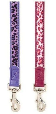 Vibrant Leopard Dog Leash Lead Pet 4 foot 6 foot East Side Collect Leads Leashes