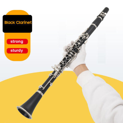 Clarinetto ebano Bb grado professionale 17 tasti clarinetto chiavi nichelate - Foto 2 di 20