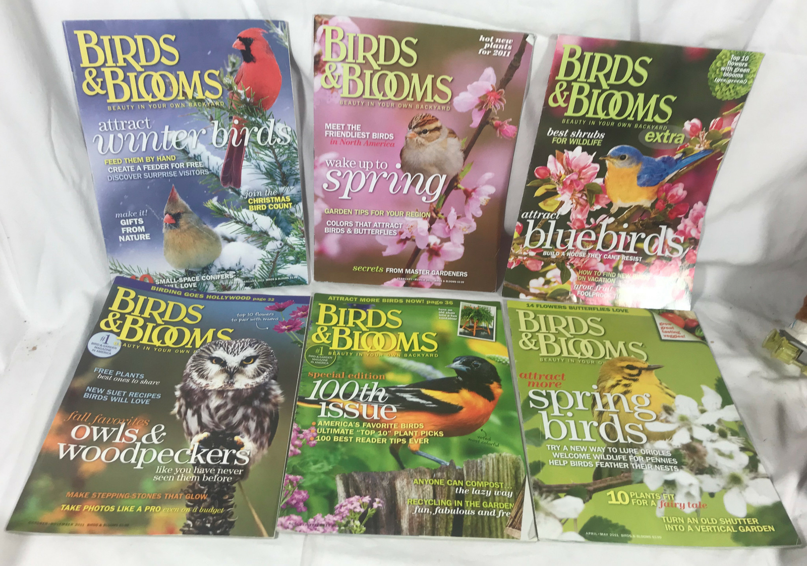 Lot of 6 Issues Birds and Blooms Magazine 2011 Owls Woodpeckers 100th