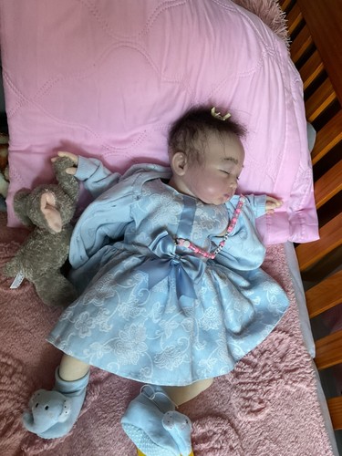 Reborn Baby Doll with visible Veins.Aria-Rose, Weighted &cuddly. - Picture 12 of 12