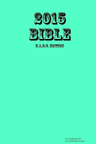 2015 Bible Apostle Arne Taschenbuch Kartoniert / Broschiert Englisch 2015-image