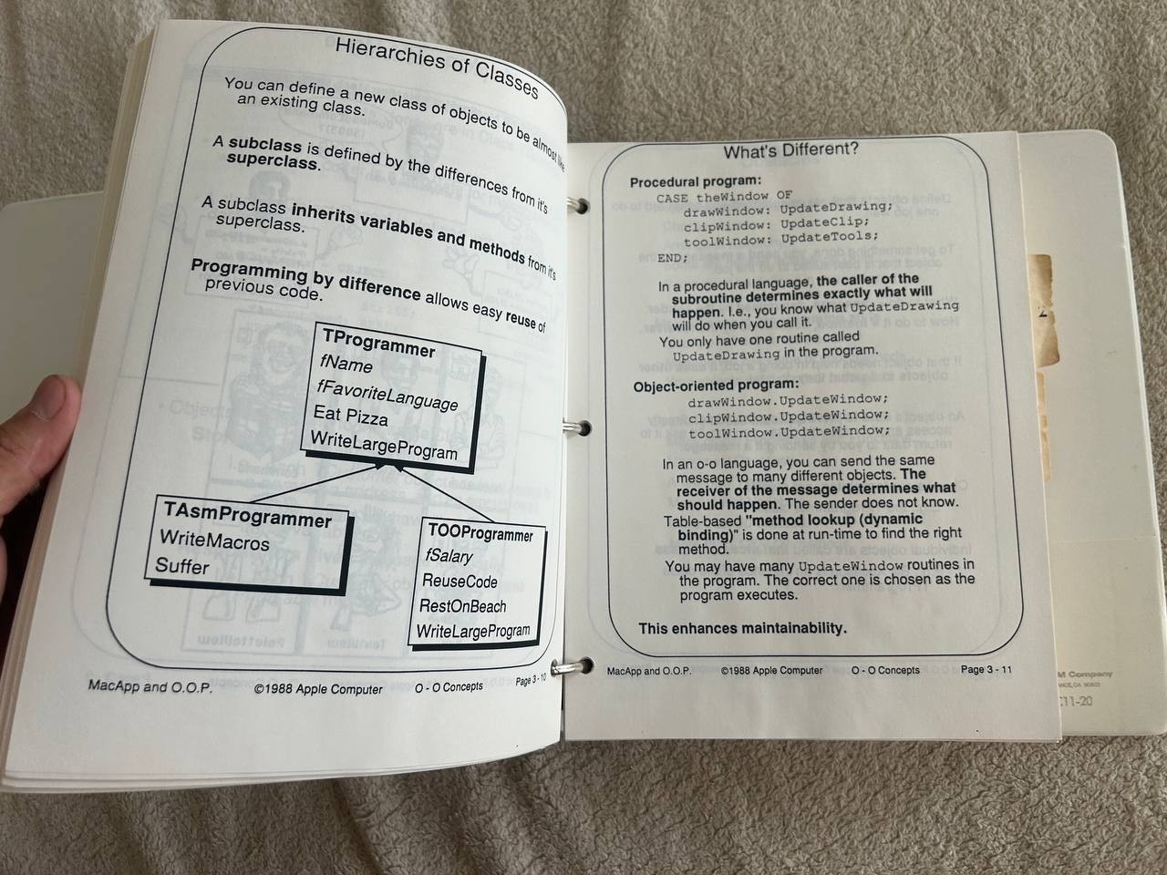Picture 20 of 23