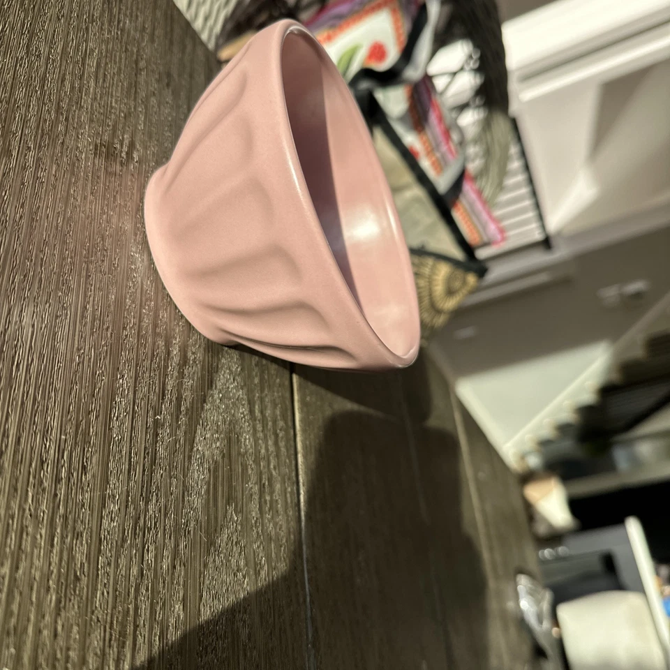 1 Anthropologie Mini Tazón Latte Mate Tazón Natte Color Fawn Descatalogado Foto 4 de 4